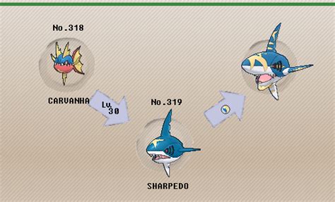 sharpedo evolution|sharpedo smogon.